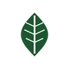 Blatt Icon natuerliche Kraeuter
